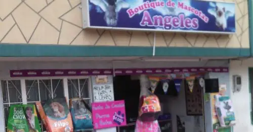 BOUTIQUE DE MASCOTAS ANGELES BOUTIQUE DE MASCOTAS ANGELES